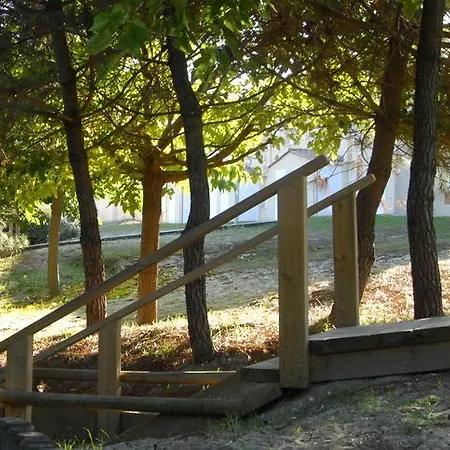 Lagrange - Les Hameaux De L'ocean * Carcans